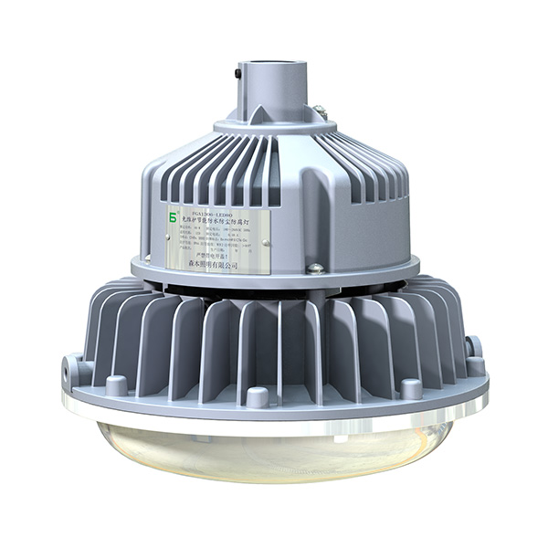 Série FGA6306 lumière LED résistant aux intempéries
